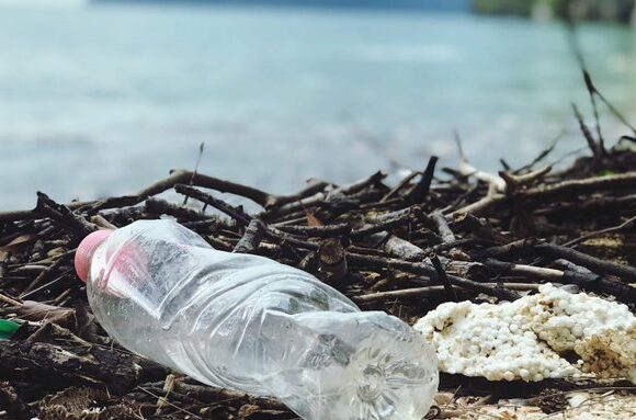 Первоначальный проект глобального договора по пластиковым отходам появится до конца 2024 года