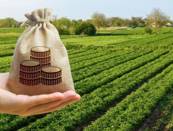 Все больше инвесторов обращают внимание на аргентинские земли, но с  очень определенными характеристиками