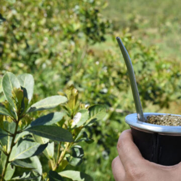 Ярмарка мате и его сопутствующих продуктов будет организована в La Rural Палермо