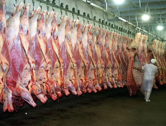 Налоговый капкан для мясной отрасли: почему говядина в Аргентине становится элитным продуктом