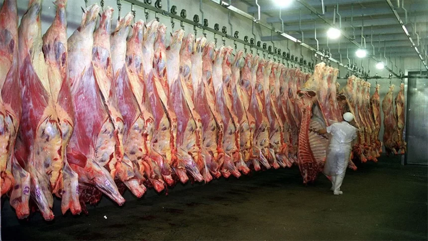 Потребление мяса в Аргентине выросло на 4,6% до 114 кг на душу населения Потребление мяса в Аргентине выросло на 4,6% до 114 кг на душу населения