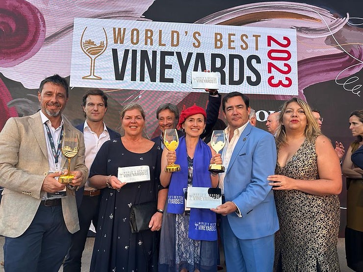 vino 2023 Посольство Аргентины в Лондоне соберет ведущих аргентинских виноделов и лидеров отрасли