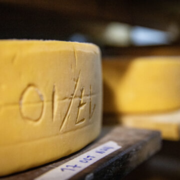 Прогресс в развитии сельской инфраструктуры  и инвестиции в рыбоводство провинции Неукен