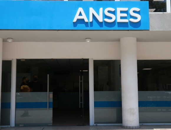 Новая жалоба министерства человеческий капитал: обнаружено мошенничество с пособием по беременности