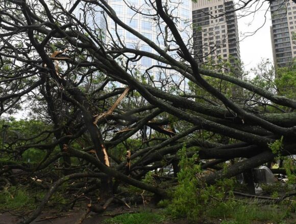 Продолжается операция по расчистке в CABA после урагана Продолжается операция по расчистке в CABA после урагана