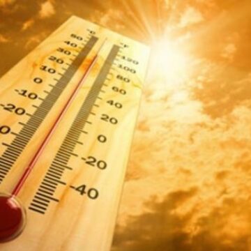 Экстремальная жара: предупреждение о температурах до 44°С