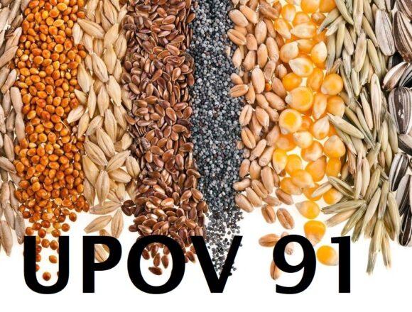Присоединение к к Конвенции UPOV 91 означает доступ к наилучшим  технологиям для агро производителей