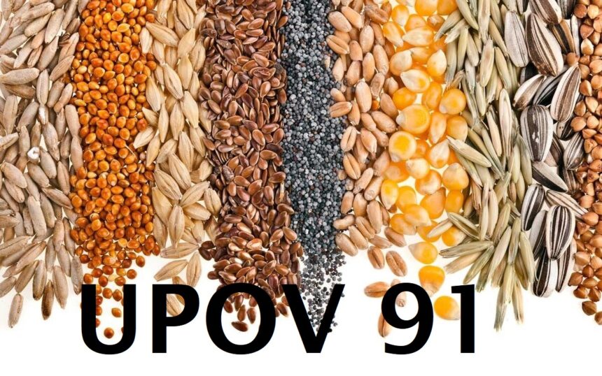 Присоединение к к Конвенции UPOV 91 означает доступ к наилучшим  технологиям для агро производителей