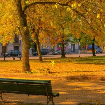 Места Аргентины которые стоит посетить, и ощутить природное волшебство осени