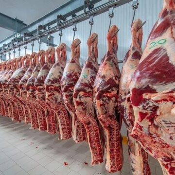 Значительное увеличение экспорта говядины из Аргентины в Европу и Израиль