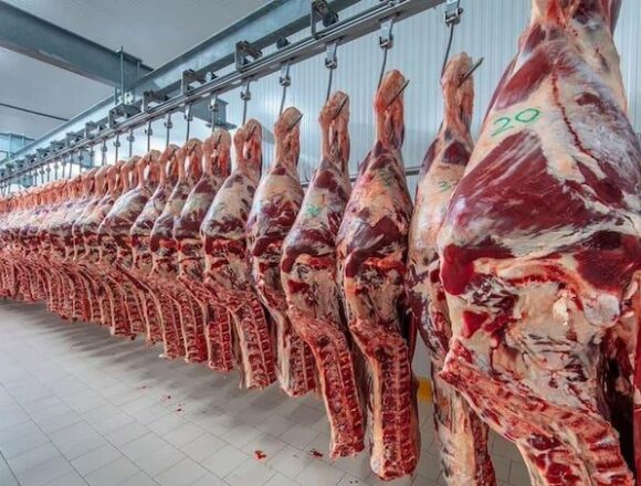 Значительное увеличение экспорта говядины из Аргентины в Европу и Израиль