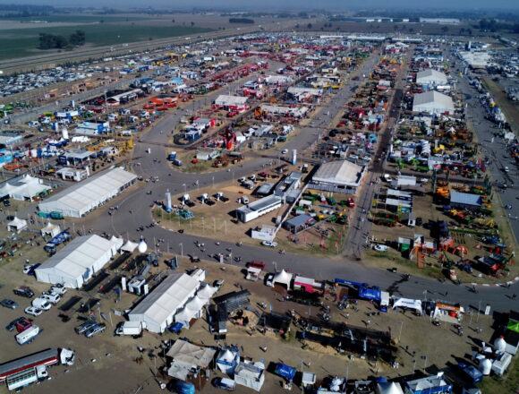 Приближается очень насыщенная выставка Expoagro 2024