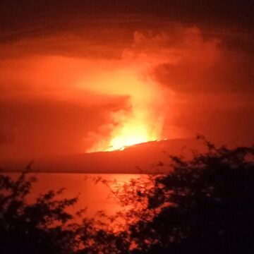 Галапагосы: извержение вулкана на острове, где обитает последняя уникальная гигантская черепаха