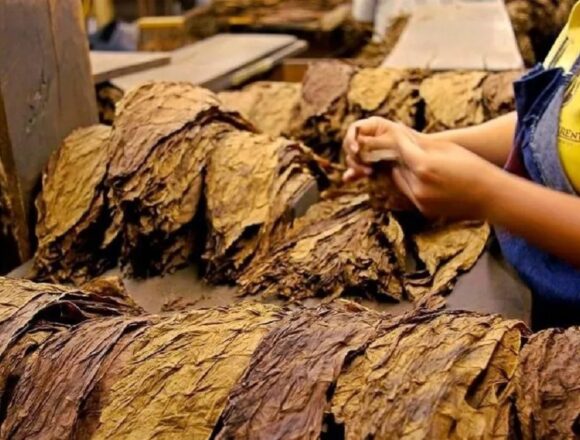 Правительство Аргентины обвиняет «табачного короля» Пабло Отеро в отмывании 33 млрд песо