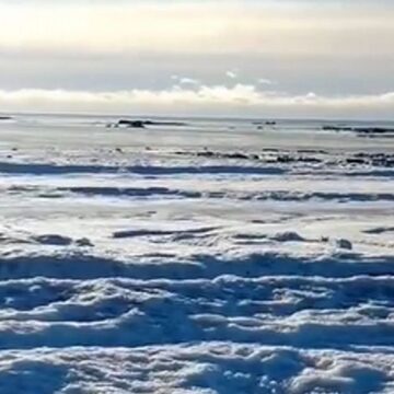 Экстремальный холод: возле Огненной Земле замерзло море