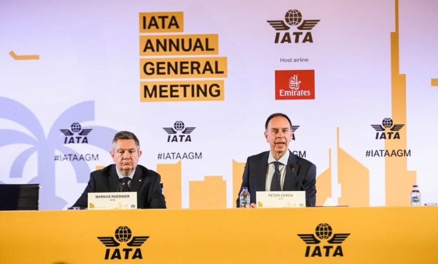Вице-президент IATA утверждает: приватизация авиакомпании Aerolineas Argentinas не означает ее исчезновения