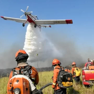 На водно-болотных угодьях Пантанал в Бразилии объявлено чрезвычайное положение в связи с лесными пожарами