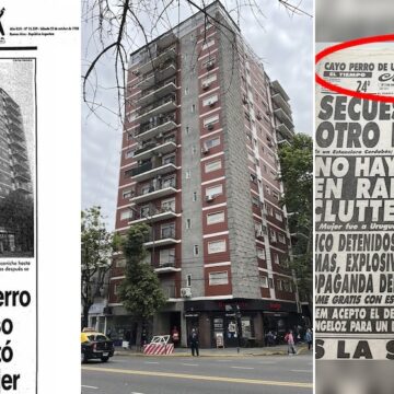 История трагического совпадения: пудель, упавший с 13-го этажа и ставший причиной смерти трех человек