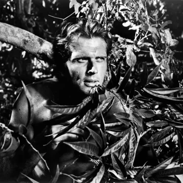 Рональд Пирс Эли: Тарзан