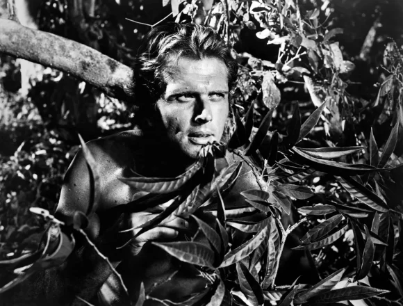 Рональд Пирс Эли: Тарзан