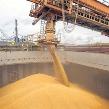 Рекордный рост экспорта региональных экономик Аргентины