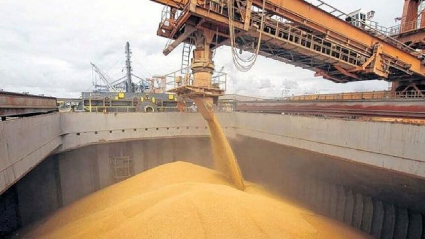 campo exporrtacion Рекордный рост экспорта региональных экономик Аргентины