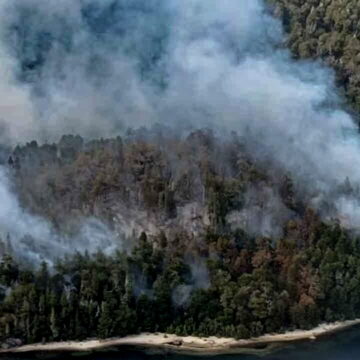 Пожар в Национальном парке Науэль-Уапи: уничтожено более 1800 гектаров леса