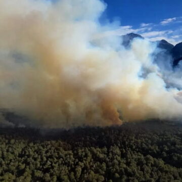 Пожары в Национальном парке Науэль-Уапи: сколько времени они могут продолжаться