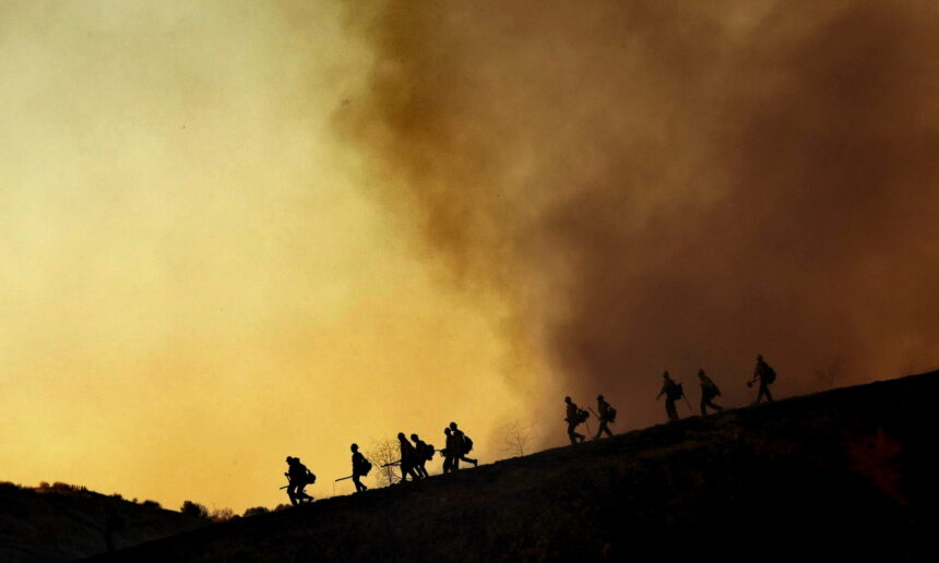 Правительство объявило RAM террористической организацией из-за пожаров в Патагонии