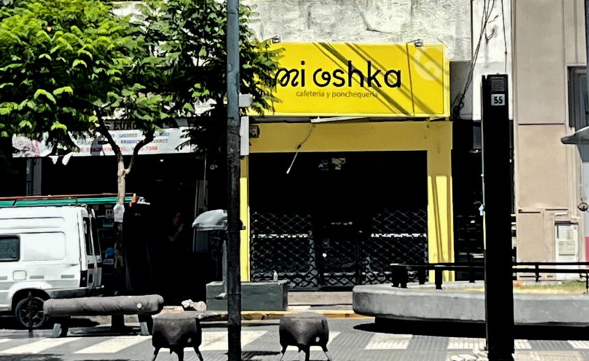 ИСТОРИИ ИММИГРАЦИИ, УСТОЙЧИВОСТИ, АДАПТАЦИИ И УСПЕШНЫХ ПРОЕКТОВ: Анна и «Mi Oshka»