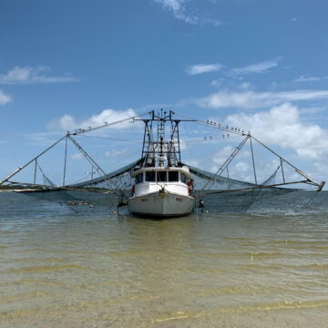 Исторический кризис в рыбном секторе: вину за паралич флота возлагают на профсоюзы и старое соглашение