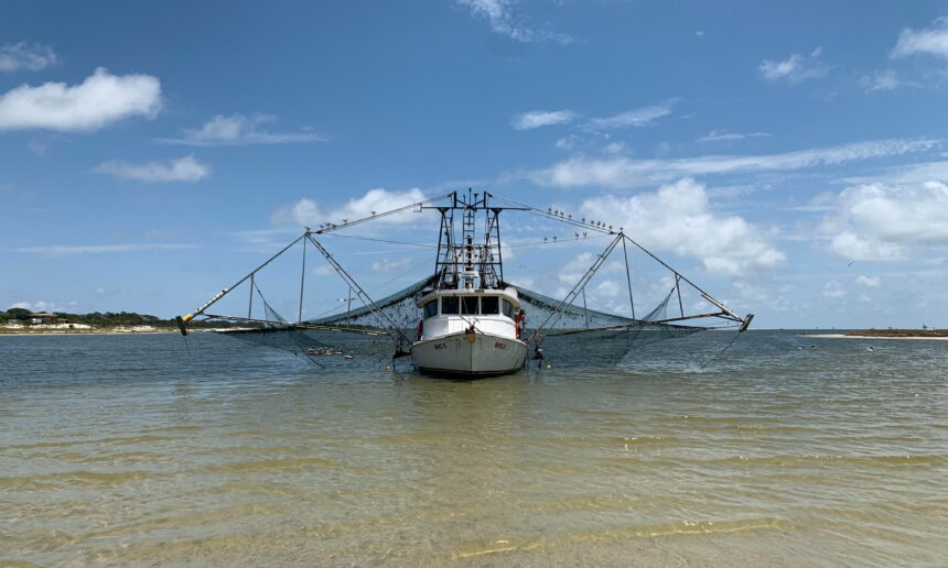 Исторический кризис в рыбном секторе: вину за паралич флота возлагают на профсоюзы и старое соглашение