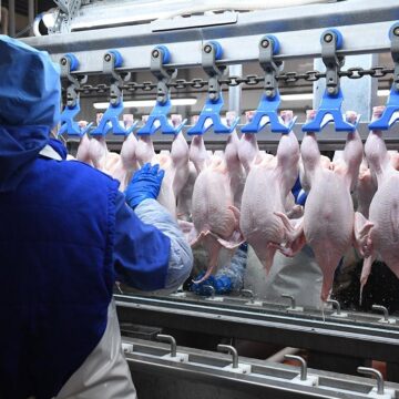 Перепроизводство курицы снижает цены и увеличивает потребление в Аргентине Перепроизводство курицы снижает цены и увеличивает потребление в Аргентине