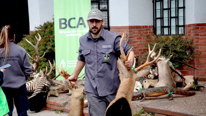 Аргентинец Эмилиано Виллегас будет награждён мировой премией за разоблачение сети браконьеров и торговли животными