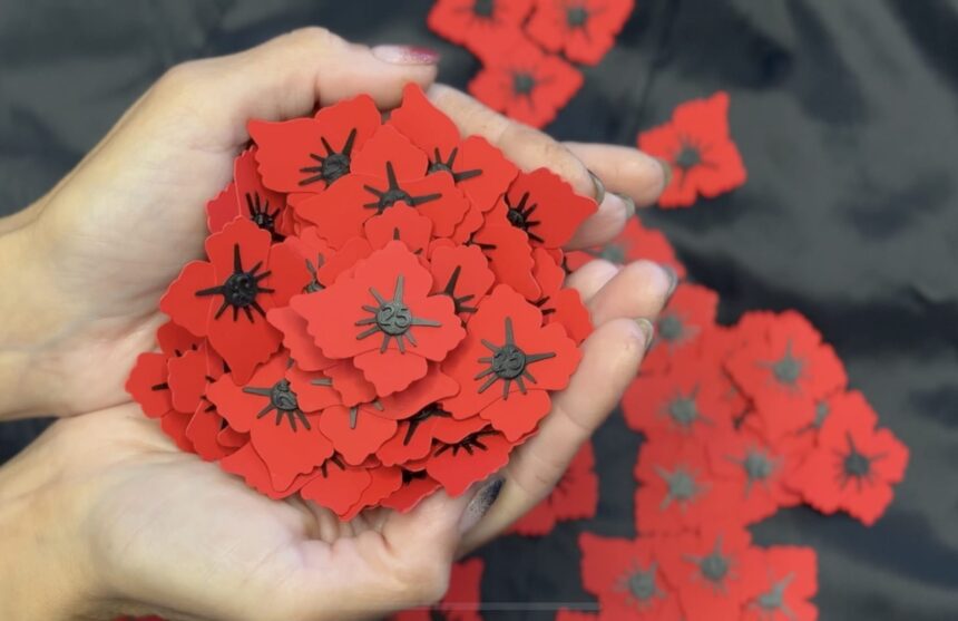 11 ноября, время красных маков