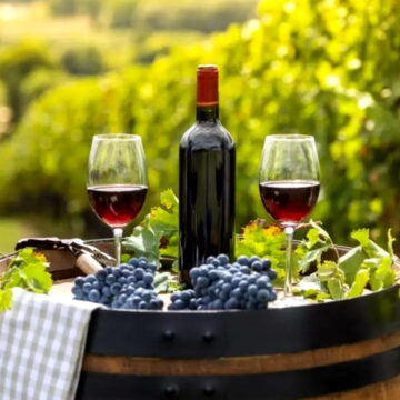 Правительство отменило 973 норм INV — Национального института виноградарства, чтобы упростить виноделие Правительство отменило 973 норм INV — Национального института виноградарства, чтобы упростить виноделие