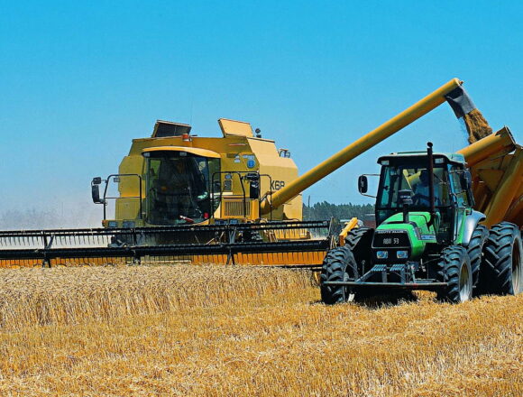 Поступления от агроэкспорта достигли 34.5 млрд долларов к октябрю 2025