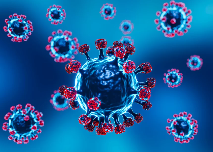 Опасный грипп H3N2 вариант K: Кордова бьёт тревогу Опасный грипп H3N2 вариант K: Кордова бьёт тревогу