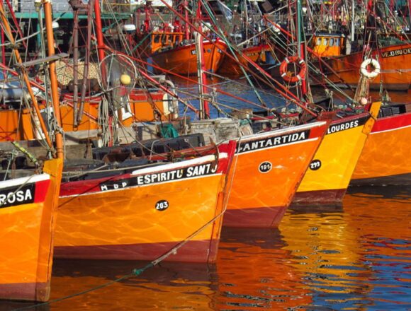 Рыбная отрасль установила рекорд: экспорт превысил 2 миллиарда долларов