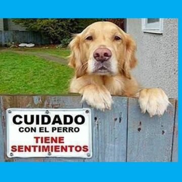 29 апреля — День защиты животных в Аргентине