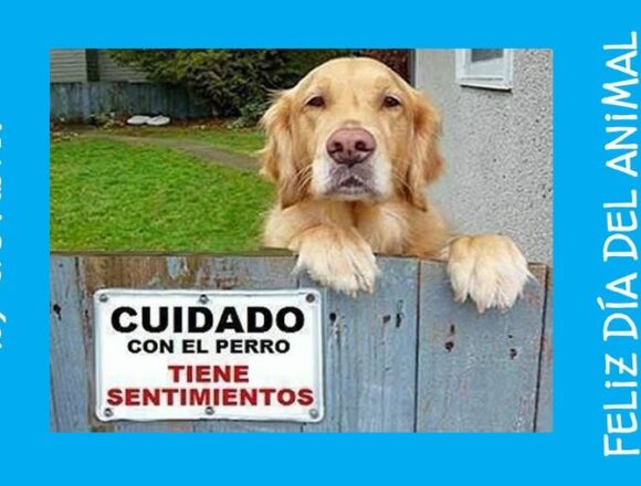 29 апреля — День защиты животных в Аргентине