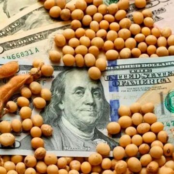 Доллар 2026: явление, которое ускоряет продажу урожая и ставит под угрозу поступление валюты