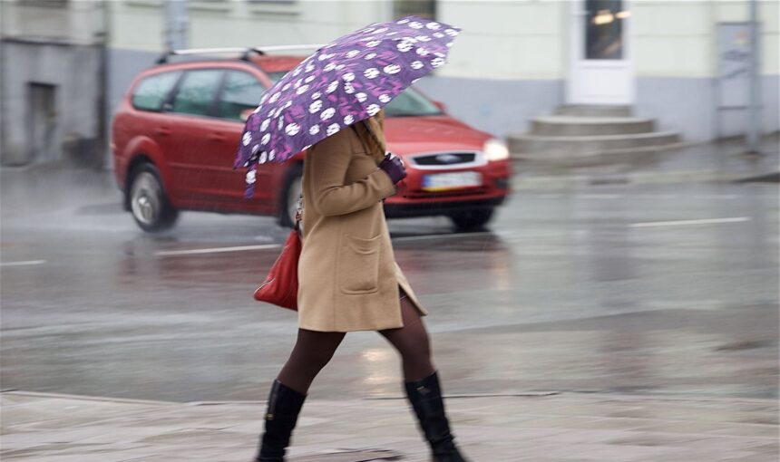 Осень: в Аргентине этот период перед холодами называют «veranito» (маленькое лето) или «veranito de San Juan», хотя он обычно наступает позже