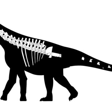 В Чубуте обнаружен новый динозавр:  бихарракозавр