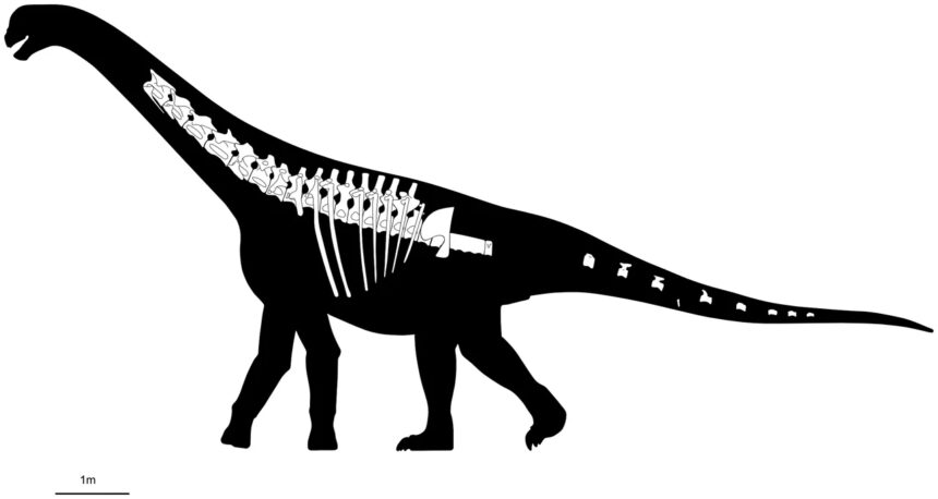 В Чубуте обнаружен новый динозавр:  бихарракозавр